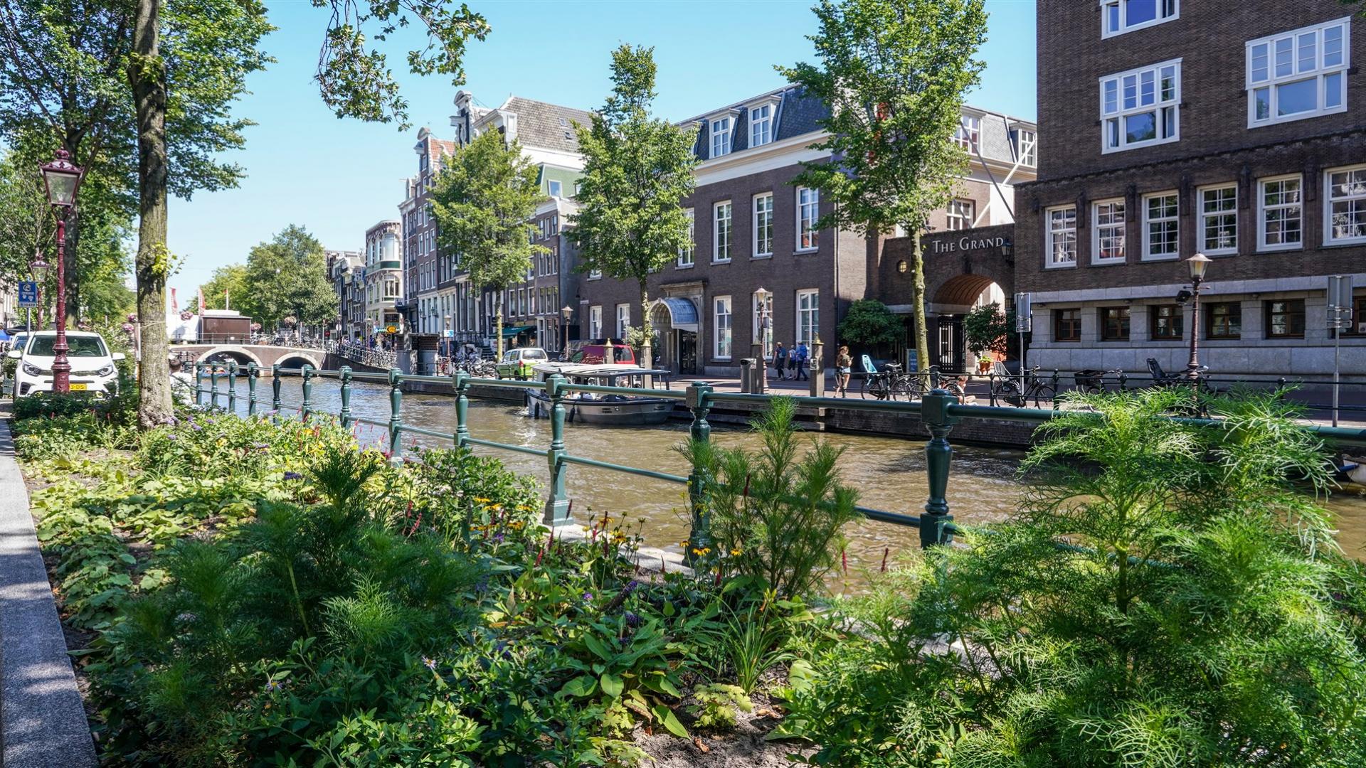 Groene kades in Amsterdam Centrum